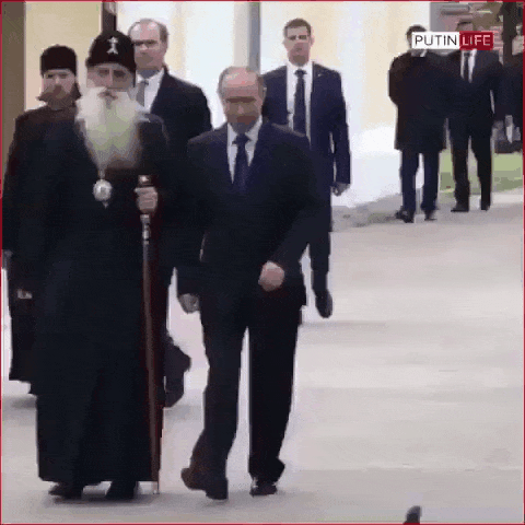 Putin Pigeon.gif
